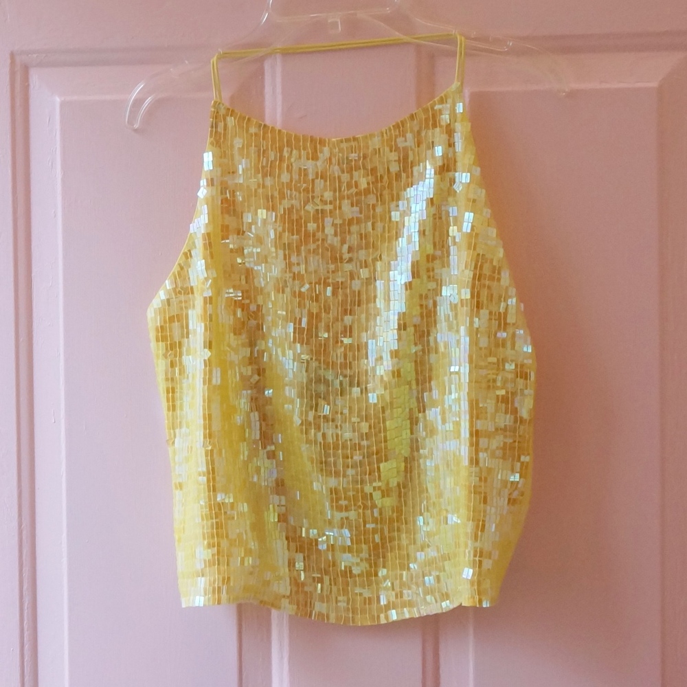 DKNY Silk Sequin Apron Crop Top